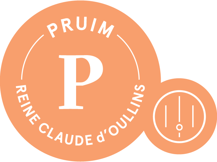 File:Pruim-reine-01-01-01.png