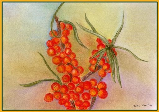 File:Cantillon Quintessence.jpg