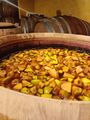 Apples fermenting at Het Boerenerf