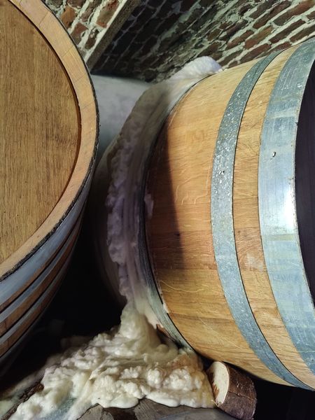 File:Het Boerenerf - barrel foam.jpeg