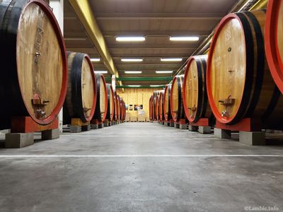 Foeders at 3F Lambik-O-Droom