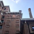 Former De Coster brewery buildings, now the MiMA Museum and Meininger Hotel. 2019 Photo: Matt
