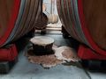 Fermentation
